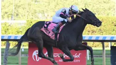 Jinete venezolano sorprende en el Lone Star Million Day Jinete venezolano sorprende en el Lone Star Million Day