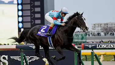 Hijos del mejor caballo del mundo estarán en el ring de ventas Hijos del mejor caballo del mundo estarán en el ring de ventas