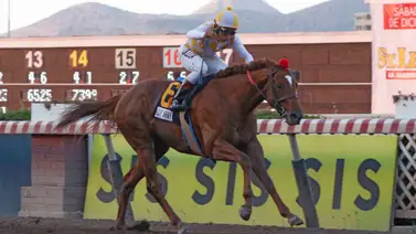 Junior Alvarado montará triplecoronado chileno en Stakes del sábado en Estados Unidos Junior Alvarado montará triplecoronado chileno en Stakes del sábado en Estados Unidos