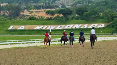 Gana con estrategia: Así quedó el ajuste clave de la línea de Gaceta Hípica para lograr victoria en el 5y6 de la R20 Gana con estrategia: Así quedó el ajuste clave de la línea de Gaceta Hípica para lograr victoria en el 5y6 de la R20