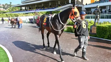 Cuidado con esta que no es de las favoritas y remató en 12.4 en su ajuste previo para la R20 Cuidado con esta que no es de las favoritas y remató en 12.4 en su ajuste previo para la R20