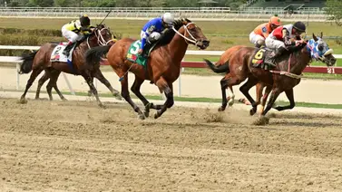 La primera válida carrera de muchos datos, pero el ajuste de este ejemplar lo dejo listo para sorprender en La Rinconada La primera válida carrera de muchos datos, pero el ajuste de este ejemplar lo dejo listo para sorprender en La Rinconada