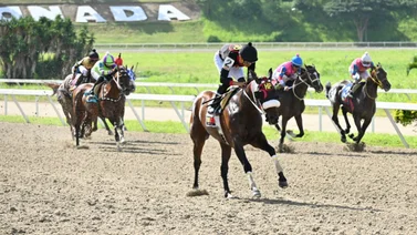 Este ejemplar que participa en carrera de potros del 5y6, ajustó para tumbar los cuadros de la R20