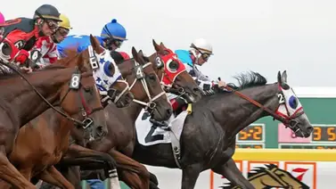 Este sábado Churchill Downs repartirá $1.65 millones entre seis Stakes Este sábado Churchill Downs repartirá $1.65 millones entre seis Stakes