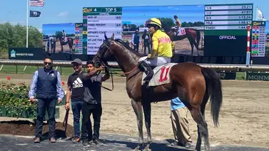 Datos de última hora incluye el Best Best y los Picks para la jornada en Gulfstream Park 29-5-2025 + Churchill Downs Datos de última hora incluye el Best Best y los Picks para la jornada en Gulfstream Park 29-5-2025 + Churchill Downs