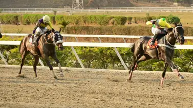 El ajuste que puede tumbar la "fija": Atentos a esta yegua en el 5y6 de La Rinconada El ajuste que puede tumbar la "fija": Atentos a esta yegua en el 5y6 de La Rinconada