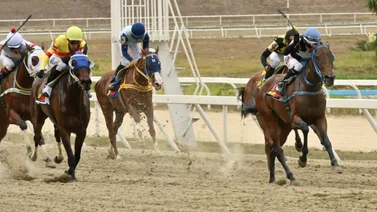 ¡Tu apuesta final! Descubre cómo un ajuste clave podría decidir la última carrera en La Rinconada