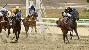 ¡Tu apuesta final! Descubre cómo un ajuste clave podría decidir la última carrera en La Rinconada ¡Tu apuesta final! Descubre cómo un ajuste clave podría decidir la última carrera en La Rinconada