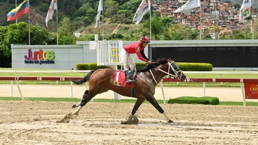 ¿Qué sucede con Templario en la quinta válida del 5y6 Nacional?