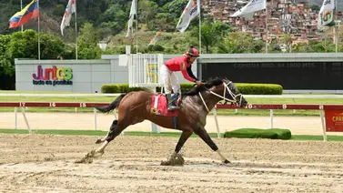 ¿Qué sucede con Templario en la quinta válida del 5y6 Nacional? ¿Qué sucede con Templario en la quinta válida del 5y6 Nacional?