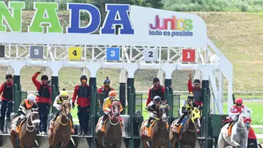 Atención aficionado hípico: Te revelamos cuatro ejemplares con más fuerza y una jugada larga para la R20 Atención aficionado hípico: Te revelamos cuatro ejemplares con más fuerza y una jugada larga para la R20