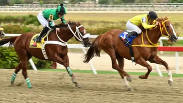 Al momento de sellar tu cuadro no dejes por fuera a este ejemplar que realizó un fenomenal remate previo al 5y6 dominical Al momento de sellar tu cuadro no dejes por fuera a este ejemplar que realizó un fenomenal remate previo al 5y6 dominical