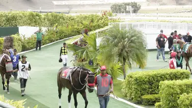 Datos de Última Hora para el Hipódromo La Rinconada 1-6-2025 Datos de Última Hora para el Hipódromo La Rinconada 1-6-2025
