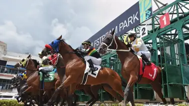 Datos de última hora incluye el Best Best y los Picks para la jornada en Gulfstream Park 30-5-2025 + Santa Anita Datos de última hora incluye el Best Best y los Picks para la jornada en Gulfstream Park 30-5-2025 + Santa Anita