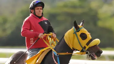 ¿Imparable? El 'Duro de Pasar' buscará hacer honor a su apodo en la reunión 20 (+Video) ¿Imparable? El 'Duro de Pasar' buscará hacer honor a su apodo en la reunión 20 (+Video)