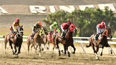 Si quieres ganar con éxito aquí tienes el dato más corrido que se perfila como la posible sorpresa para la quinta válida de la R20 Si quieres ganar con éxito aquí tienes el dato más corrido que se perfila como la posible sorpresa para la quinta válida de la R20