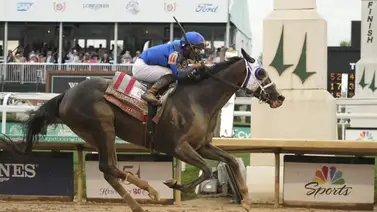 Media hermana de la escolta de Good Cheer en la Kentucky Oaks fue vendida por $300.000 Media hermana de la escolta de Good Cheer en la Kentucky Oaks fue vendida por $300.000