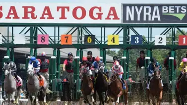 Último minuto: Caballeriza en Saratoga fue puesta en cuarentena por 14 días   Último minuto: Caballeriza en Saratoga fue puesta en cuarentena por 14 días