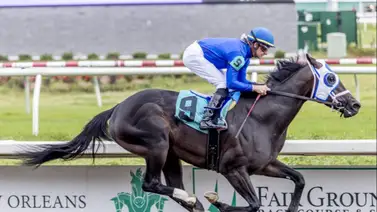 Atención con estos ejemplares selectivos a reaparecer en Estados Unidos Atención con estos ejemplares selectivos a reaparecer en Estados Unidos