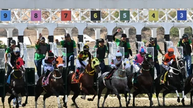 Esta es la información más “regada” de La Rinconada para la carrera de los acumulados del 5y6 Nacional
