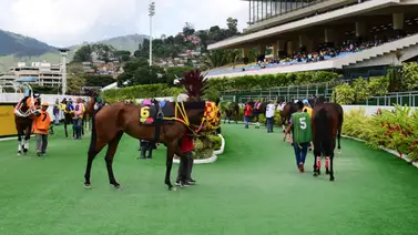 Olvídate de Marrakech y Sweet Flower: Este batacazo podría darte una gran alegría en La Rinconada Olvídate de Marrakech y Sweet Flower: Este batacazo podría darte una gran alegría en La Rinconada