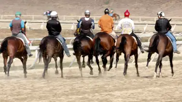En la carrera del 5y6 donde hay muchos datos se presenta el primer retirado En la carrera del 5y6 donde hay muchos datos se presenta el primer retirado