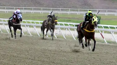 A pocas horas para sonar el clarín este ejemplar logra el mejor ajuste y queda listo para triunfar a lo grande el 5y6 dominical A pocas horas para sonar el clarín este ejemplar logra el mejor ajuste y queda listo para triunfar a lo grande el 5y6 dominical