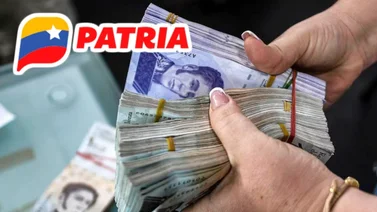 Sistema Patria