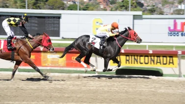 La Rinconada: Los favoritos de MeridianoBet para este domingo