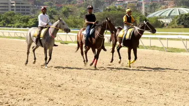 Entérate del ejemplar retirado de la reunión 20 en La Rinconada 01-06-2025   Entérate del ejemplar retirado de la reunión 20 en La Rinconada 01-06-2025