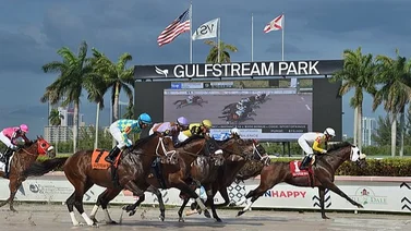 Noticia en desarrollo: Jinete aprendiz venezolano rueda en su primera monta del sábado en Gulfstream Park 