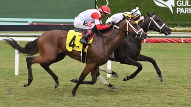 Jinete venezolano logra victoria en Gulfstream Park luego de casi tres años sin ganar en ese hipódromo