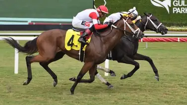 Jinete venezolano logra victoria en Gulfstream Park luego de casi tres años sin ganar en ese hipódromo Jinete venezolano logra victoria en Gulfstream Park luego de casi tres años sin ganar en ese hipódromo