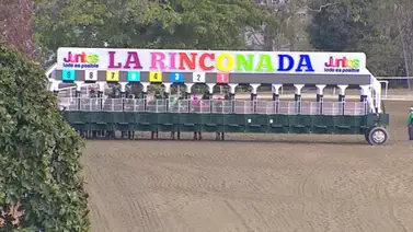 Estos son los retirados de la Reunión N°19 en el hipódromo La Rinconada para el domingo 3-5-2026 Estos son los retirados de la Reunión N°19 en el hipódromo La Rinconada para el domingo 3-5-2026