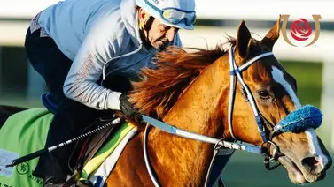 Kentucky Derby: Robusta entra a la carrera de las Rosas, conoce aquí con cuál jockey Kentucky Derby: Robusta entra a la carrera de las Rosas, conoce aquí con cuál jockey