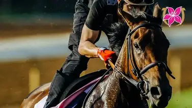 Kentucky Oaks: Nycon ha sido retirada de la primera Triada femenina Kentucky Oaks: Nycon ha sido retirada de la primera Triada femenina