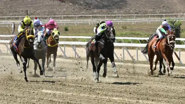 Este es el cuadro sugerido de bajo costo para el 5y6 nacional del domingo en La Rinconada Este es el cuadro sugerido de bajo costo para el 5y6 nacional del domingo en La Rinconada