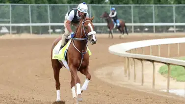 Kentucky Derby: Entrenador se queja por retiro de su caballo y recibe esta contundente respuesta de las autoridades Kentucky Derby: Entrenador se queja por retiro de su caballo y recibe esta contundente respuesta de las autoridades