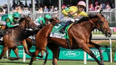 ¡Back To Back! José Luis Ortiz sobre Kathynmarissa: les toma el pulso a sus rivales en el Modesty Stakes (G3T) ¡Back To Back! José Luis Ortiz sobre Kathynmarissa: les toma el pulso a sus rivales en el Modesty Stakes (G3T)