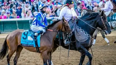 El Magnifico: La historia del “caballo escolta” de ganadores de la triplecorona en Estados Unidos El Magnifico: La historia del “caballo escolta” de ganadores de la triplecorona en Estados Unidos