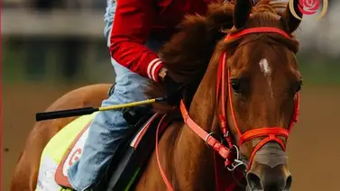 Kentucky Derby: The Puma, no estará en las Rosas por esta lesión que fue el motivo de su retiro Kentucky Derby: The Puma, no estará en las Rosas por esta lesión que fue el motivo de su retiro