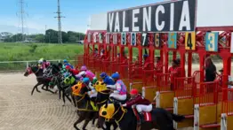 Estos son los retirados de la Reunión N°11 en el hipódromo de Valencia para el sábado 2-5-2026