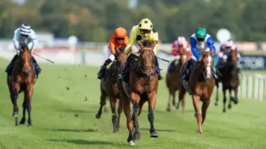 Bow Echo aplasta a sus rivales en la Betfred 2000 Guineas Stakes (Grupo 1) y mantiene su invicto Bow Echo aplasta a sus rivales en la Betfred 2000 Guineas Stakes (Grupo 1) y mantiene su invicto