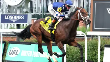 Stark Contrast impone récord para el Stakes en el American Turf (G1) de Churchill Downs Stark Contrast impone récord para el Stakes en el American Turf (G1) de Churchill Downs