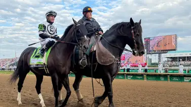 Mira lo que dijo el Atleta Meridiano 2025 sobre Chief Wallabee y su actuación en el Kentucky Derby (G1) Mira lo que dijo el Atleta Meridiano 2025 sobre Chief Wallabee y su actuación en el Kentucky Derby (G1)