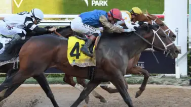 El jockey panameño Luis Sáez despeja la incertidumbre sobre la carrera de Commandment en el Kentucky Derby (G1) El jockey panameño Luis Sáez despeja la incertidumbre sobre la carrera de Commandment en el Kentucky Derby (G1)
