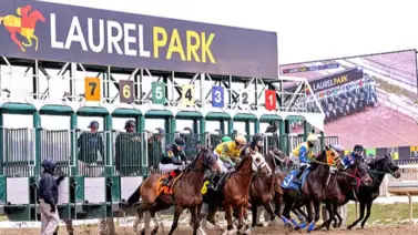 Preakness Stakes: Se habla de 15 ejemplares para la edición 151 de la segunda gema estadounidense Preakness Stakes: Se habla de 15 ejemplares para la edición 151 de la segunda gema estadounidense