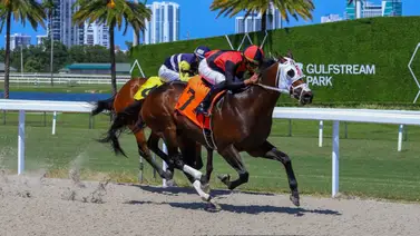 Samy Camacho se afianza como líder del meeting en Gulfstream Park Samy Camacho se afianza como líder del meeting en Gulfstream Park