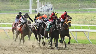 Estadísticas La Rinconada: Estos fueron los números de gualdrapas más ganadores en la R19 Estadísticas La Rinconada: Estos fueron los números de gualdrapas más ganadores en la R19