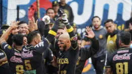 LVBP: Leones del Caracas renueva a este jugador de cara a la próxima temporada
